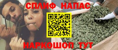 бошки Долгопрудный