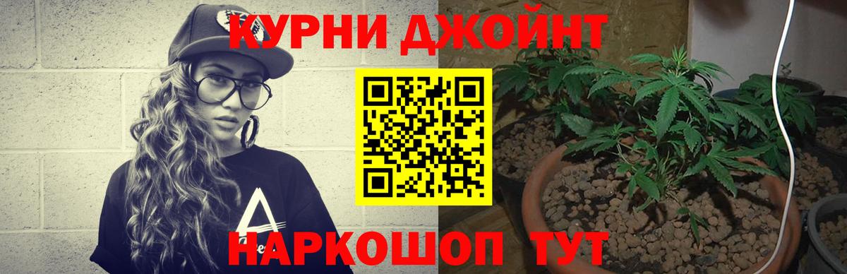Каннабис конопля Чапаевск